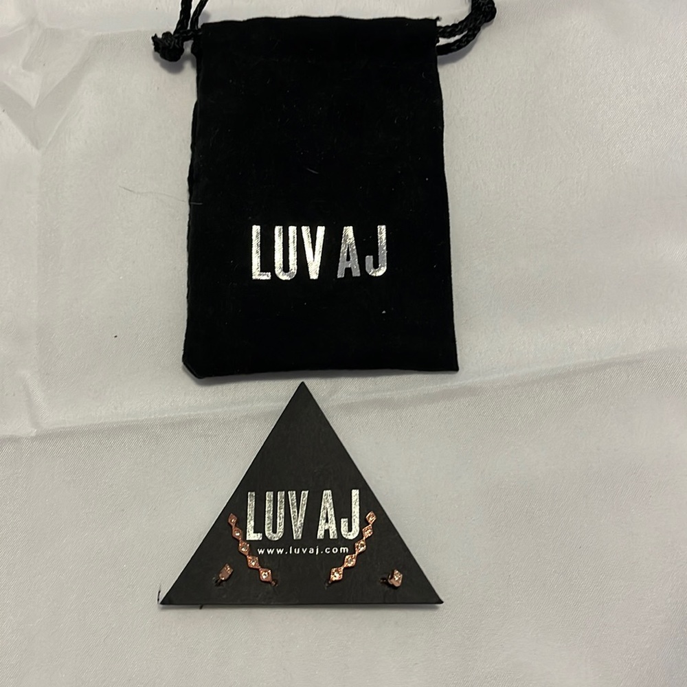 🥰🥰🥰LAST CHANCE ITEM. New!  LUV AJ ROSE GOLD EARRING SET 2 PAIR